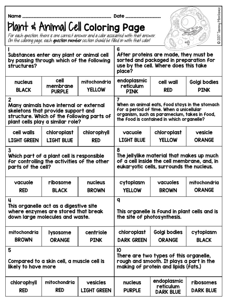 Cells Coloring Page | PDF | Cell (Biology) | Endoplasmic Reticulum
