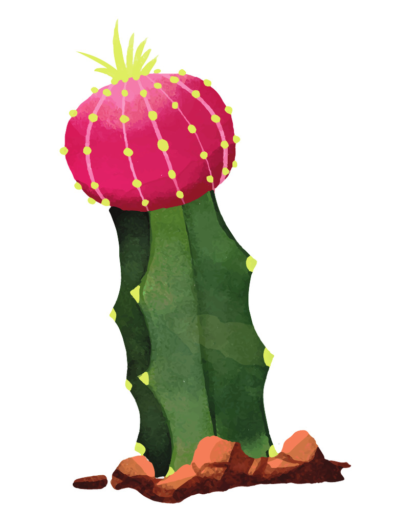 Cactus | PDF