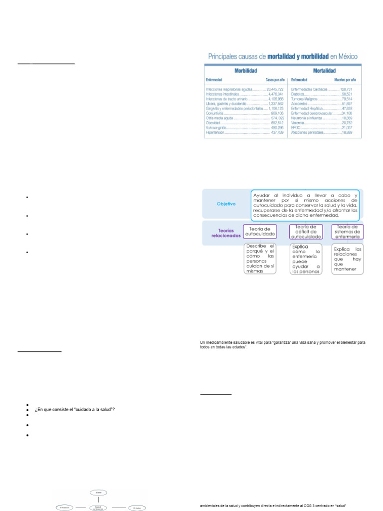 Salud y Sustentabilidad Plan de Clase Apoyo | PDF | Entorno natural ...