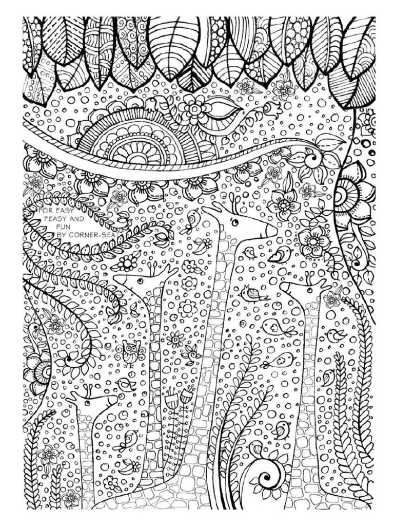 Birds and Giraffes | PDF