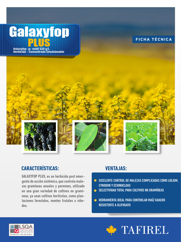 Herbicida Galaxyfop Plus: Control Eficaz | PDF | Pasto | Agricultura