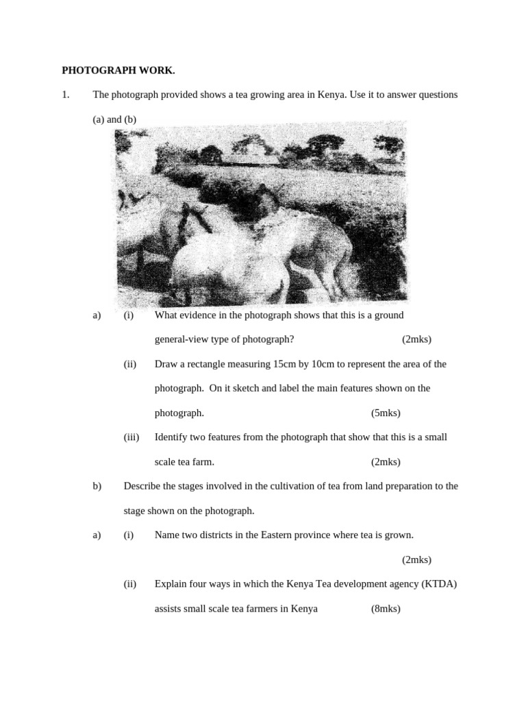 Photograph Work Q | PDF