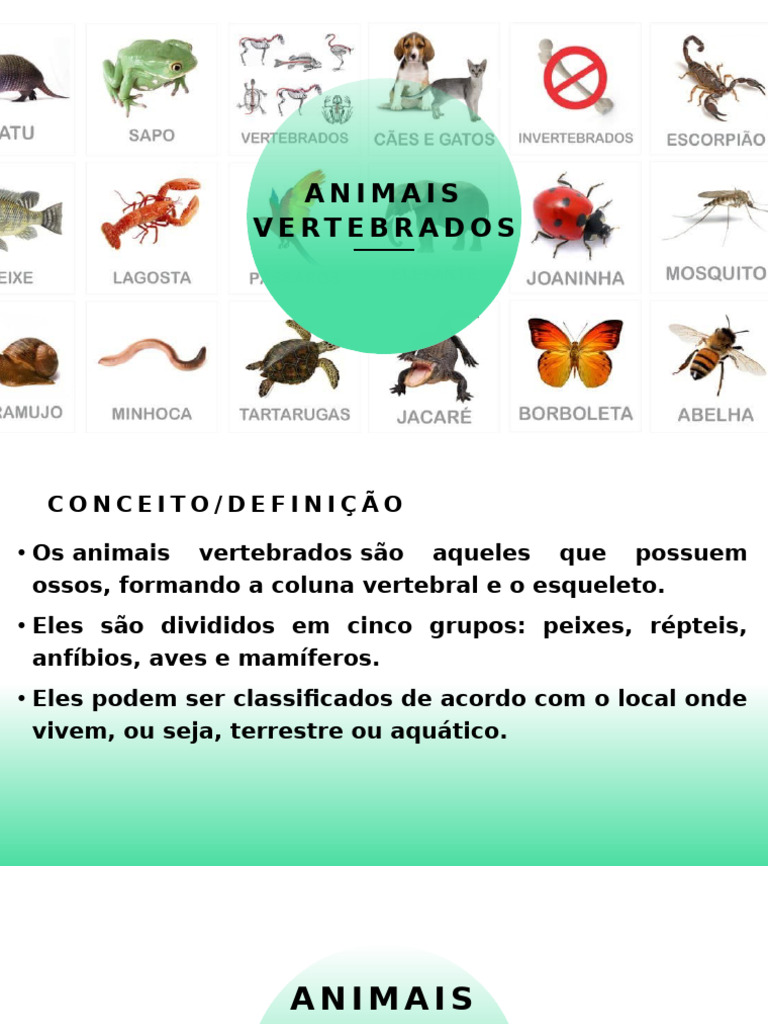 Animais Vertebrados | PDF