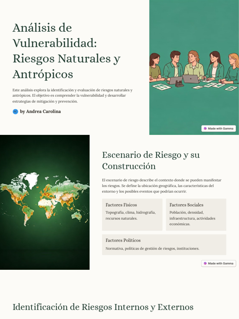 Análisis de Vulnerabilidad y Riesgos | PDF | Riesgo | Evaluación de riesgos