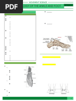 Ankle Goniometry Measurement Guide | PDF | Anatomical Terms Of Motion ...