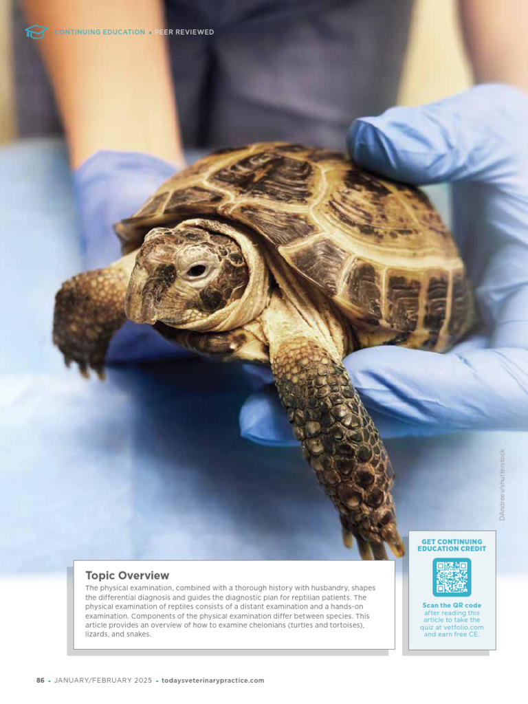 Reptile Physical Examination Guide | PDF | Reptile | Turtle