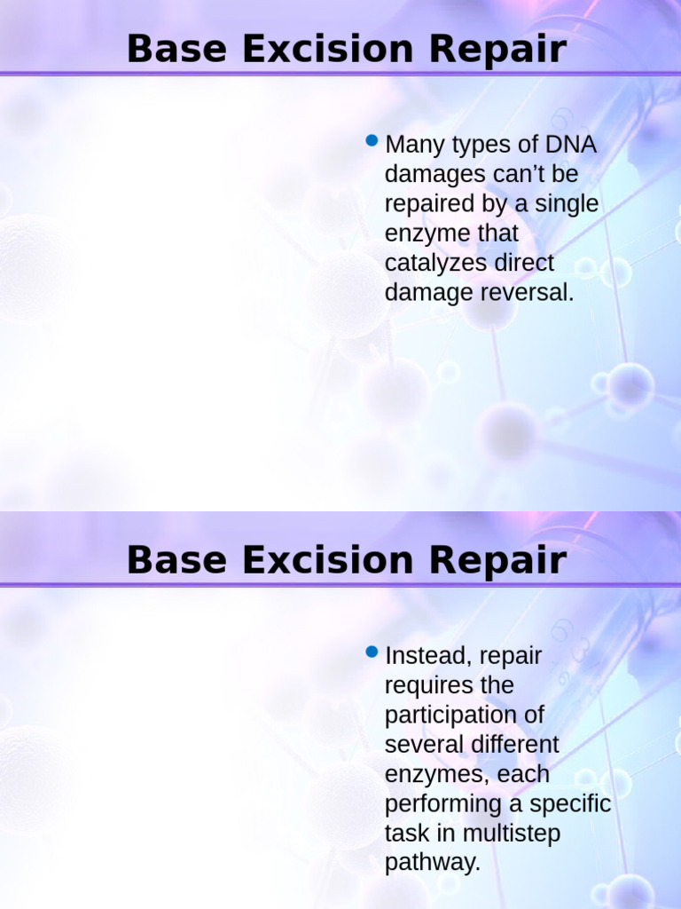 MolecularBiology PPT BG-Final | PDF | Dna Repair | Health Sciences