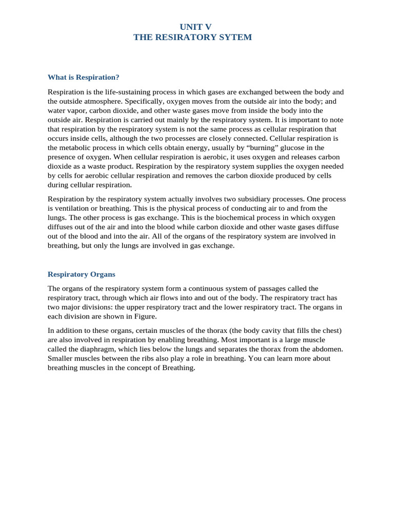 Overview of the Respiratory System | PDF | Larynx | Respiratory Tract