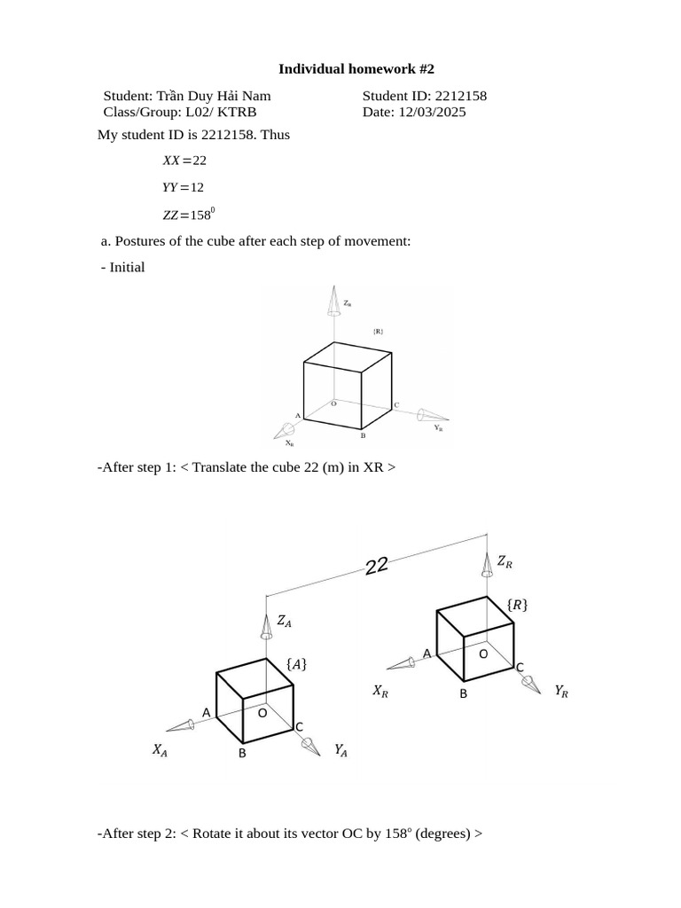 Cube Transformation Homework Analysis | PDF | Mathematical Physics ...