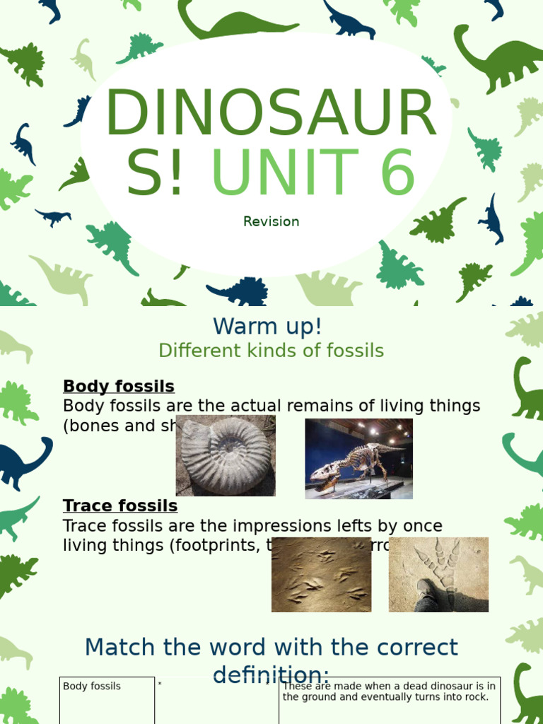 Understanding Dinosaur Fossils Pdf