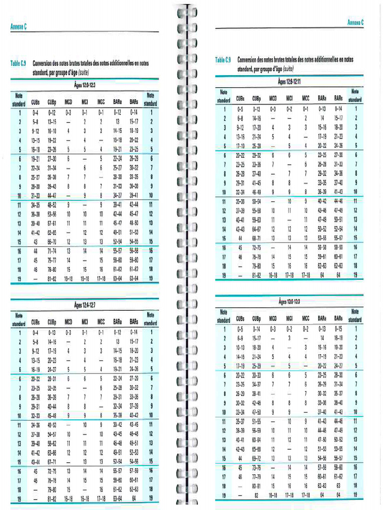 WISC-V Manuel 13 | PDF