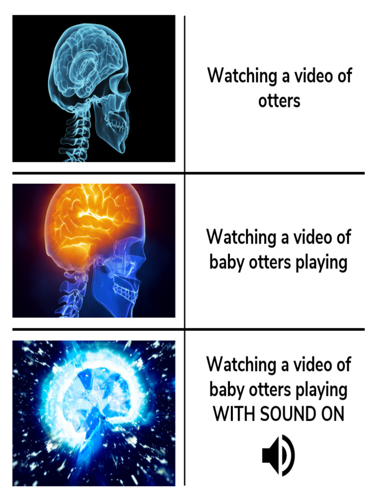 Expanding Brain 3 Panel Photo With Text Meme | PDF