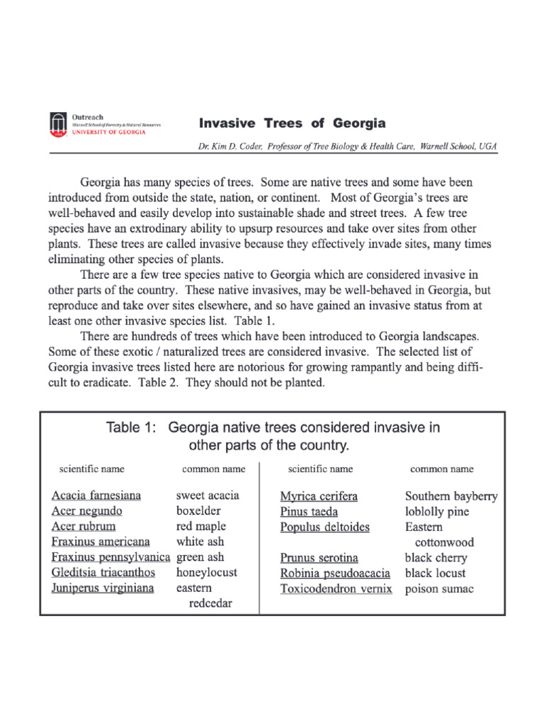 Invasive Trees of Georgia ARBOR-11 | PDF