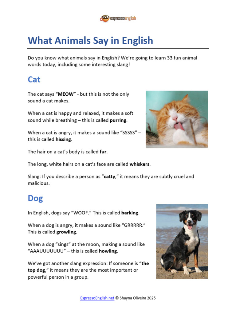 Free PDF What Animals Say | PDF | Sheep | Domestication