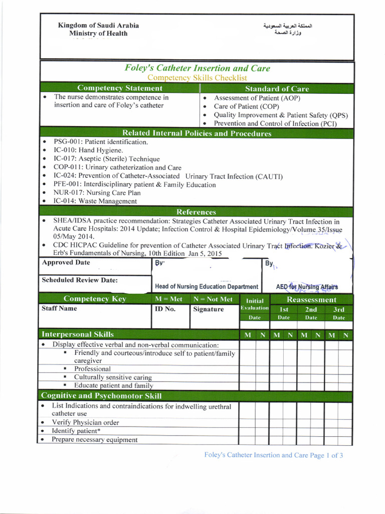 G3-Foley's Catheter Insertion and Care | PDF | Catheter | Labia