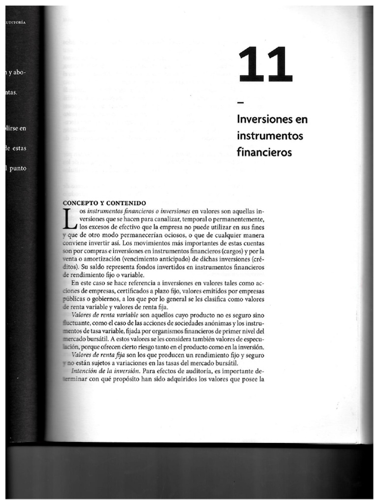 Capítulo 11 Auditoría | PDF