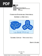 ERON_ALG_LIN_2009_2[1]