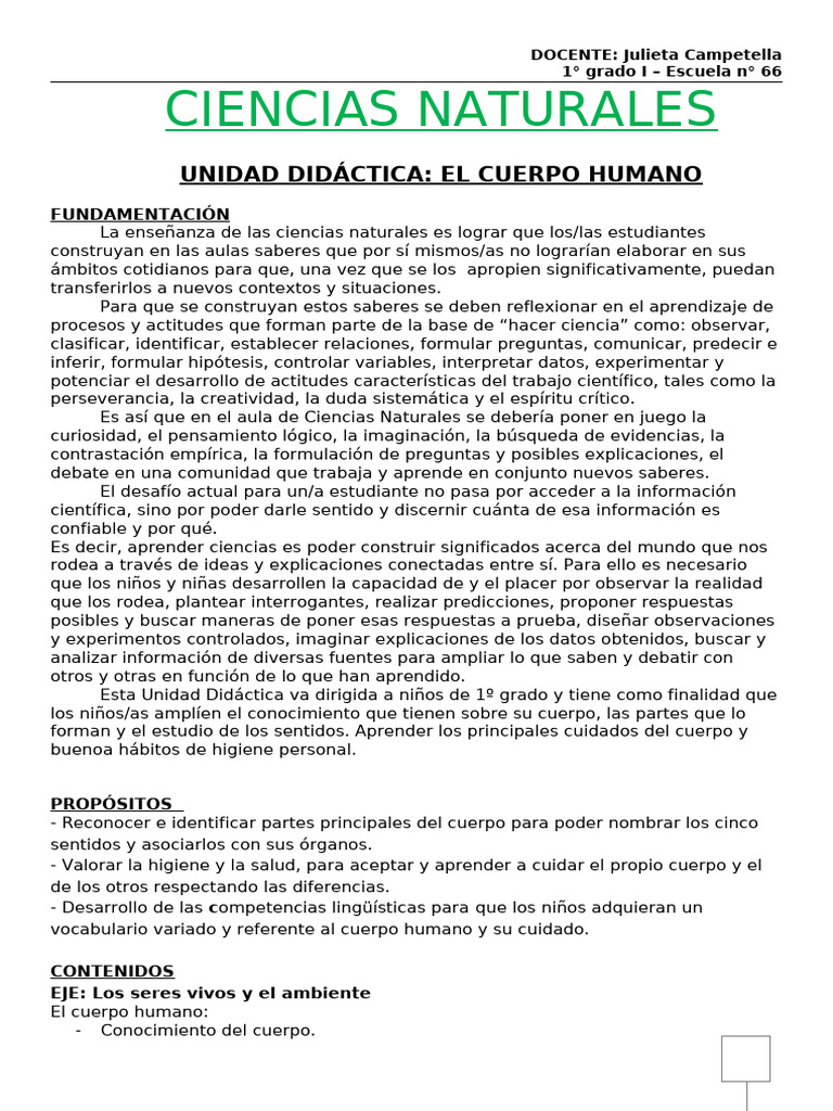 Unidad Didáctica: El Cuerpo Humano en 1° Grado | PDF | Science ...