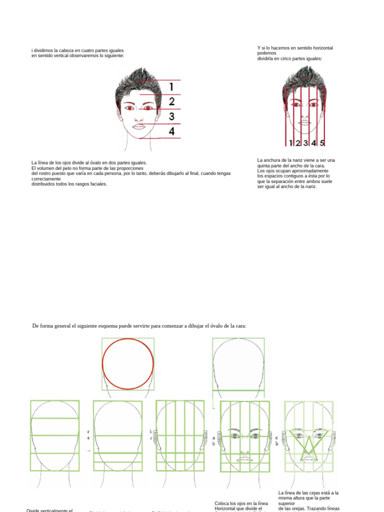 Proporciones y divisiones del rostro | PDF | Cara