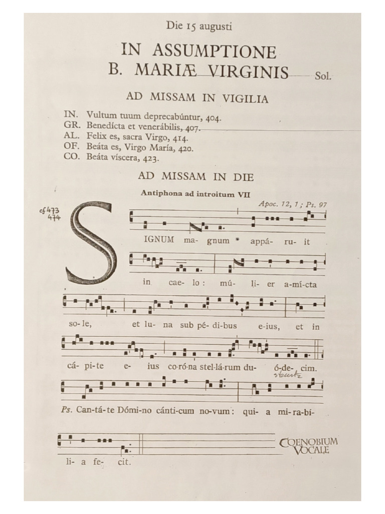 Signum Magnum | PDF
