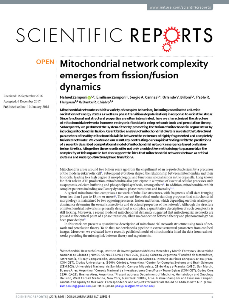Mitochondrial Network Complexity Analysis | PDF | Mitochondrion | Biology
