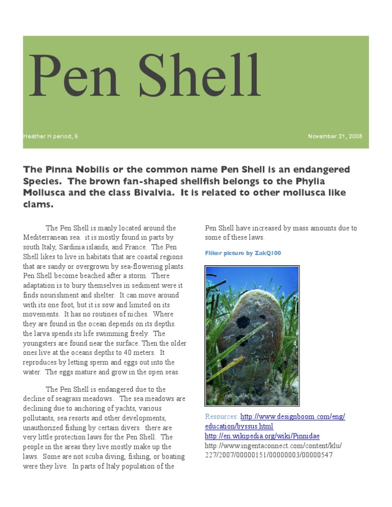 Endangered Pen Shell Overview | PDF | Social Science | Home & Garden