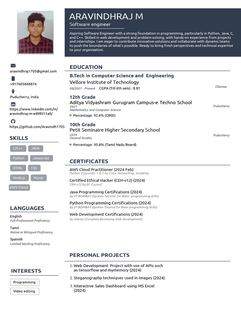 Aspiring Software Engineer Profile | PDF | Web Development | Software ...