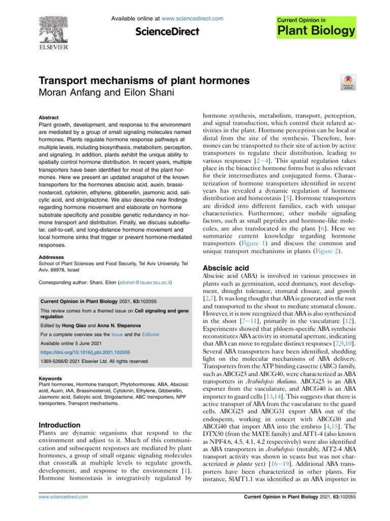 Plant Hormone Transport Mechanisms | PDF | Auxin | Root
