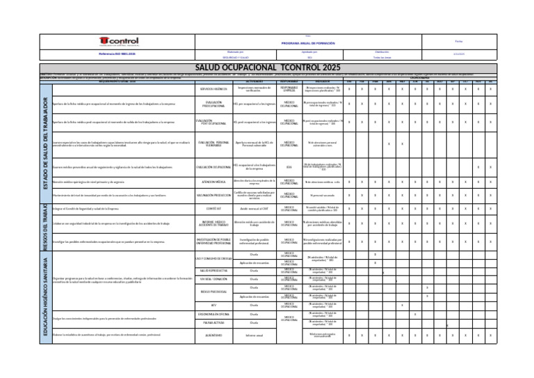 Plan Anual de Salud Ocupacional 2025 | PDF | Seguridad y salud ...
