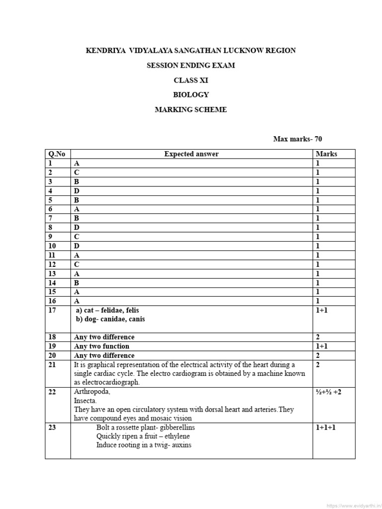 Class XI Biology Exam Marking Scheme | PDF | Cell Biology | Biology