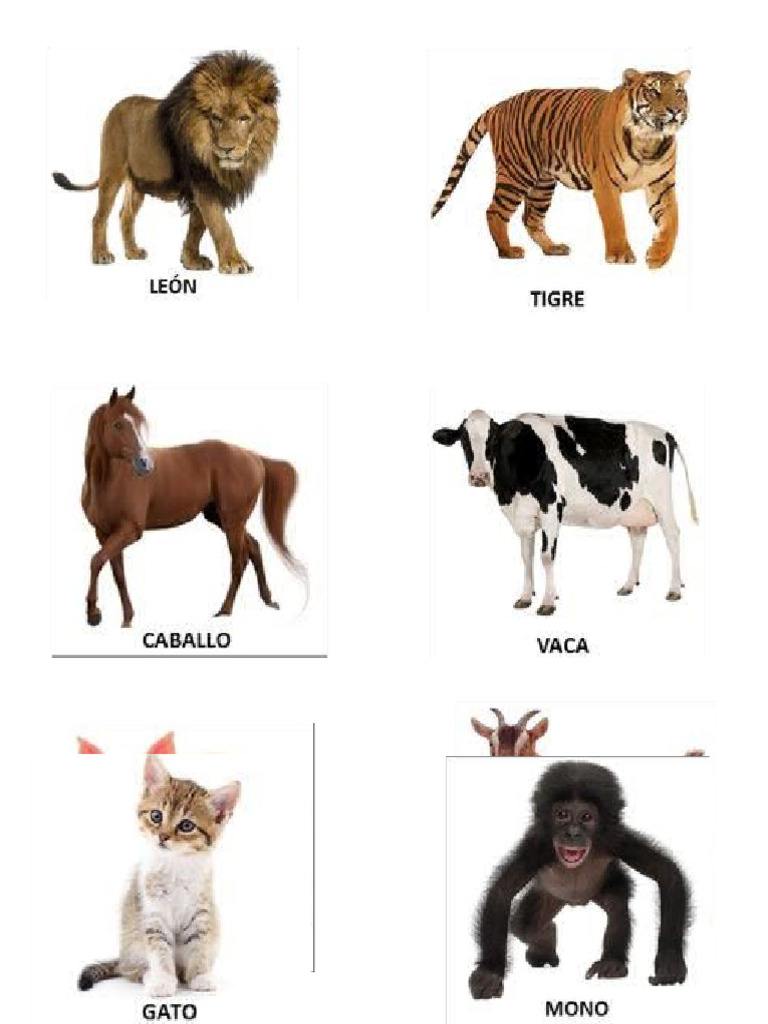 Animales | PDF