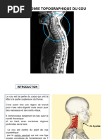 Anatomie de la Région Jugale | PDF | Tête et cou chez l'humain ...