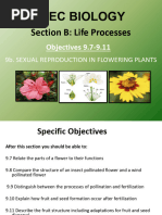 Seed Formation and Dispersal Methods | PDF | Fertilisation | Flowers