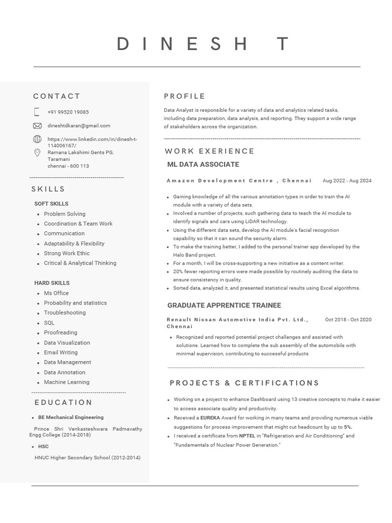 Data Analyst Profile and Projects Overview | PDF | Artificial ...