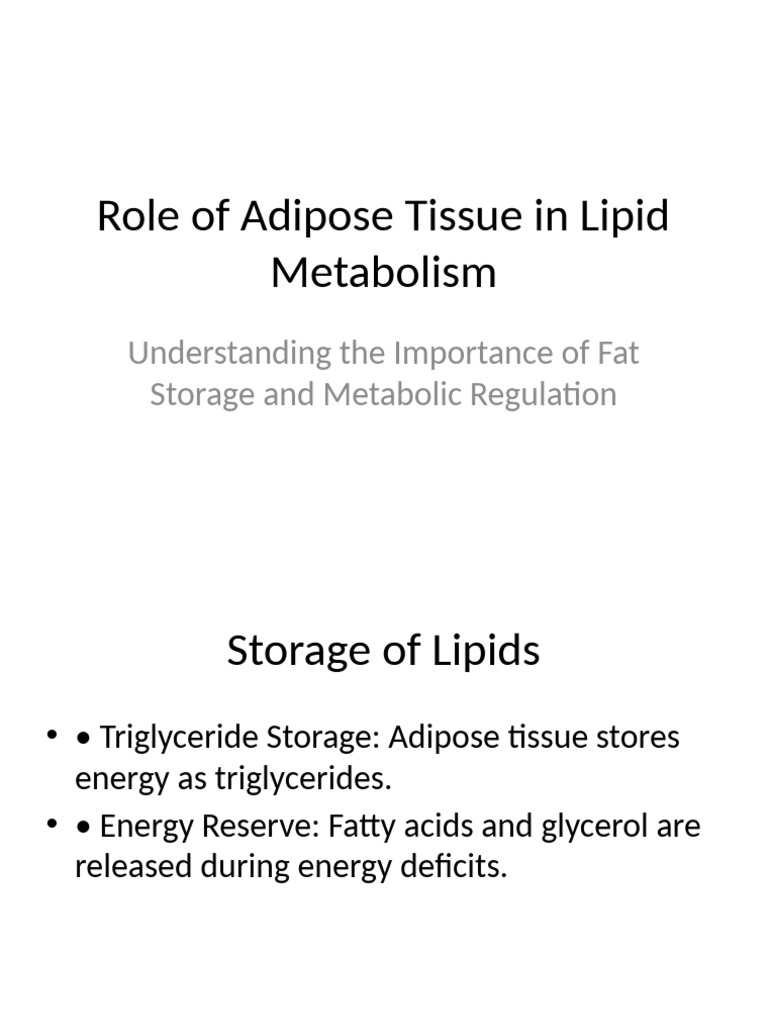 Adipose Tissue Role in Lipid Metabolism | PDF