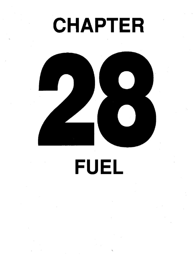 28 Amm | PDF