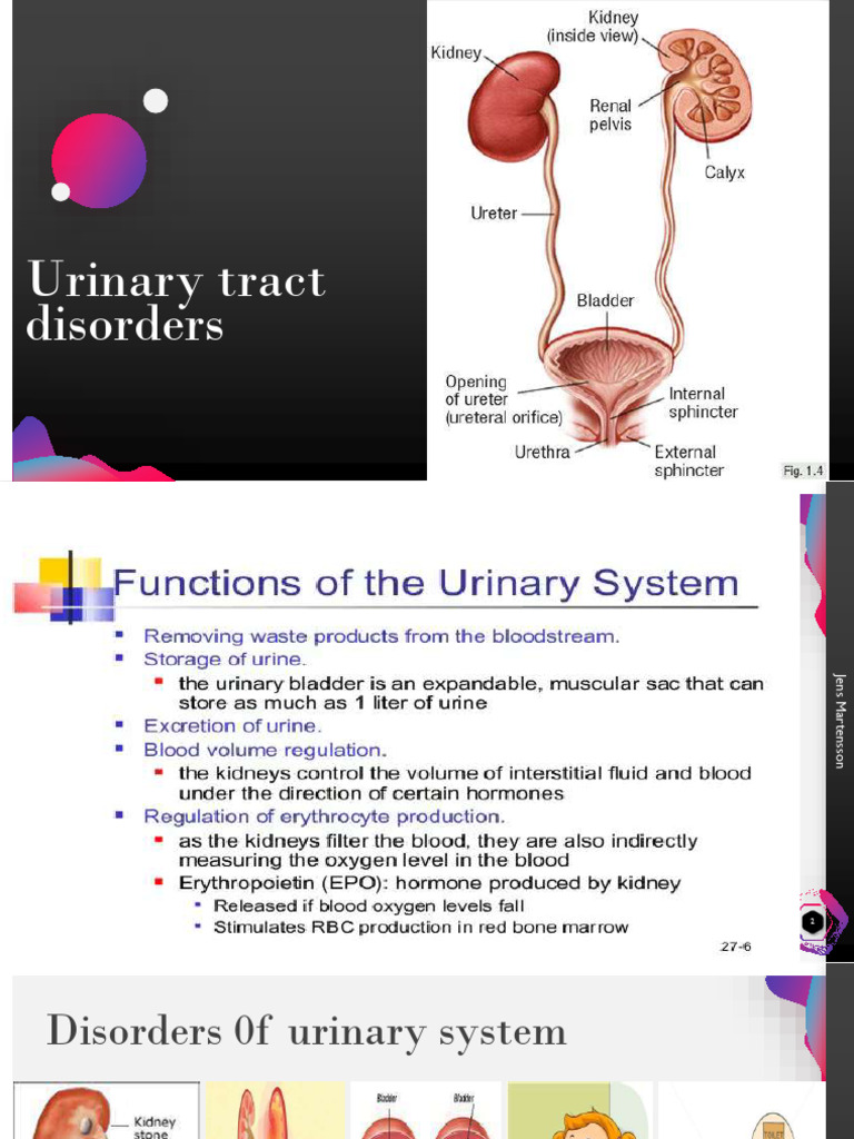 Urinary Tract Disorders | PDF | Urinary Incontinence | Medical Specialties