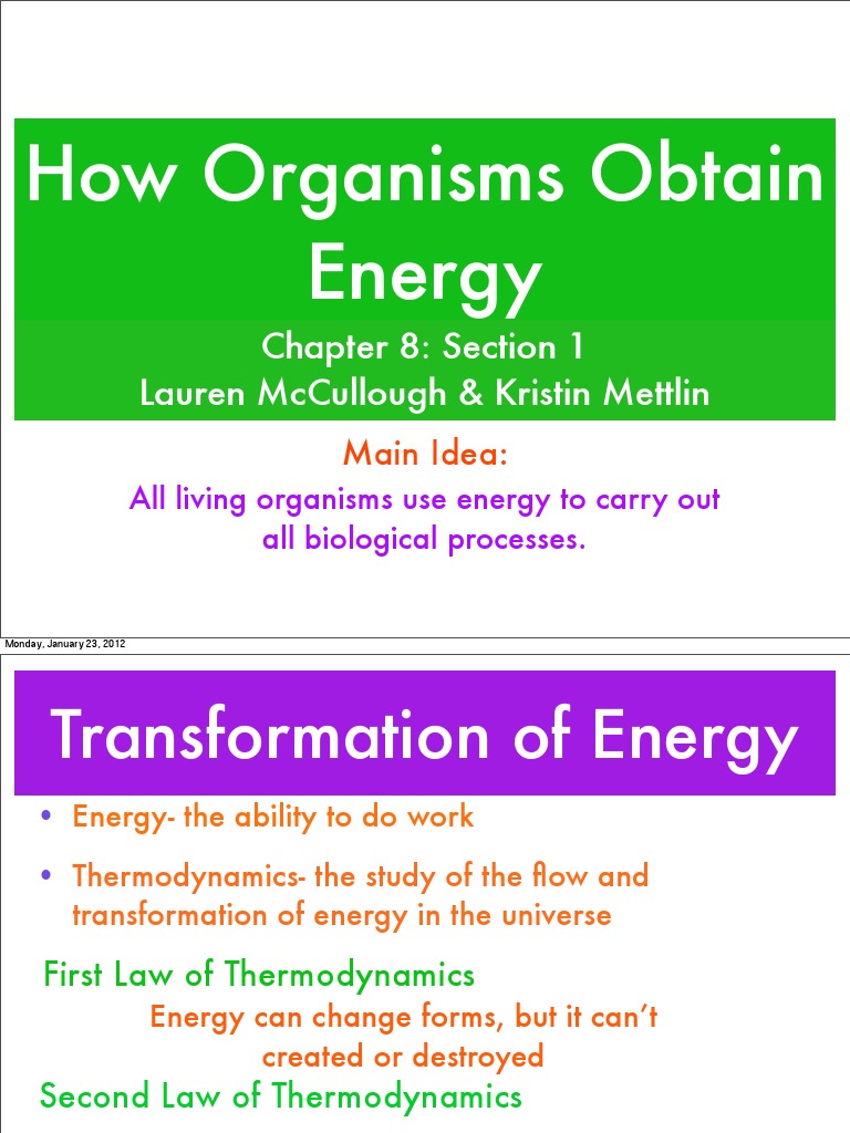 Energy Acquisition in Organisms | PDF