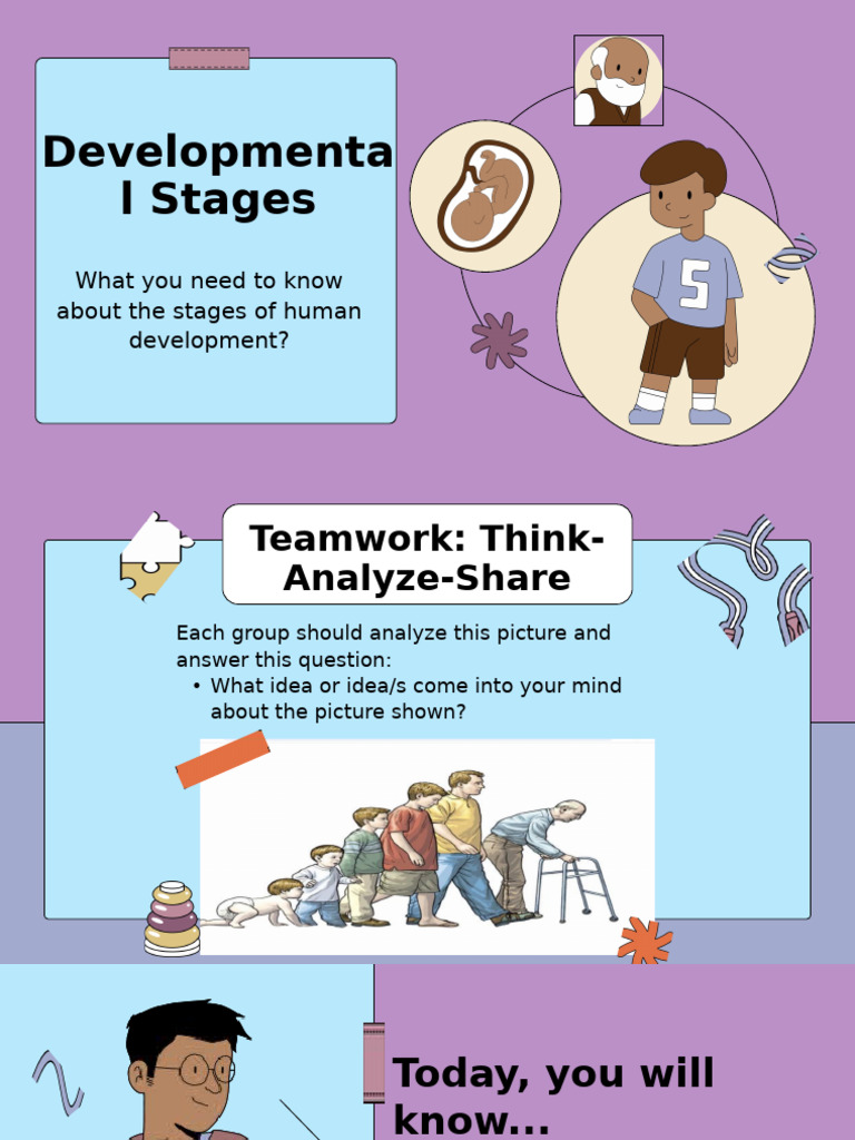 Developmental Stage | PDF | Developmental Psychology | Adolescence
