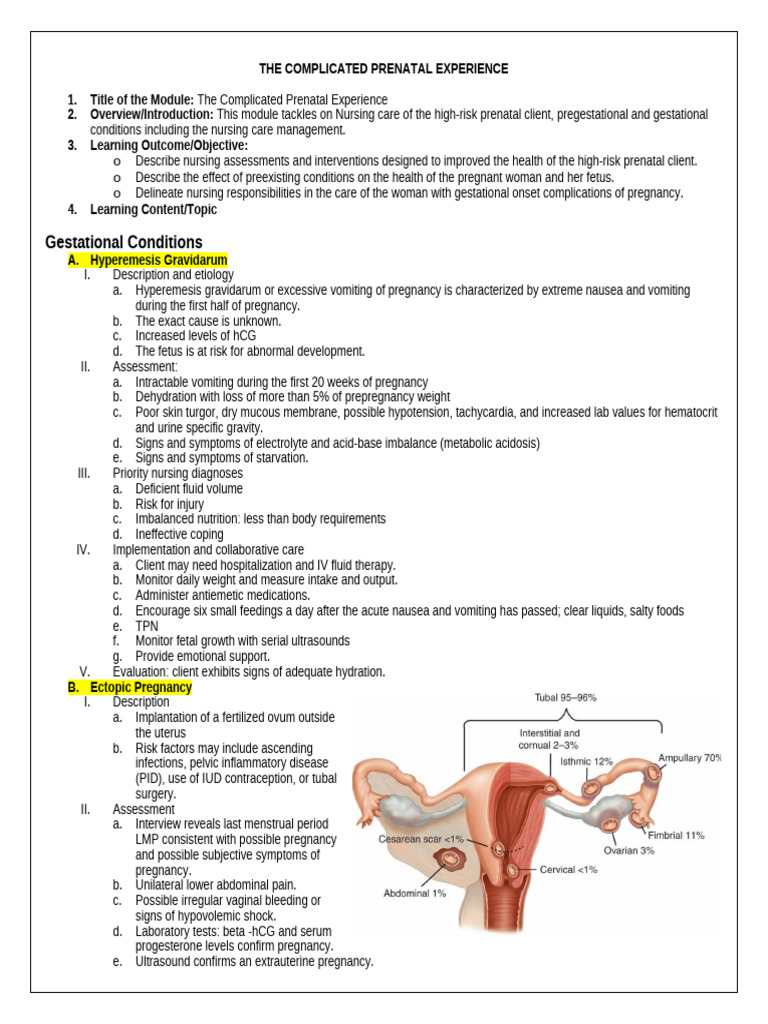 High-Risk Prenatal Nursing Care Guide | PDF | Miscarriage | Pregnancy