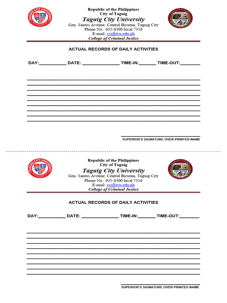 Daily Activity Report Template | PDF