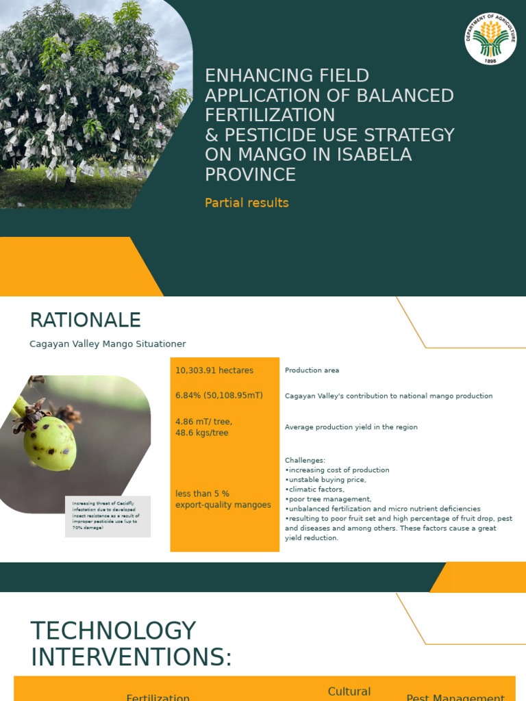 Mango Yield Enhancement Strategies in Isabela | PDF | Fertilizer ...