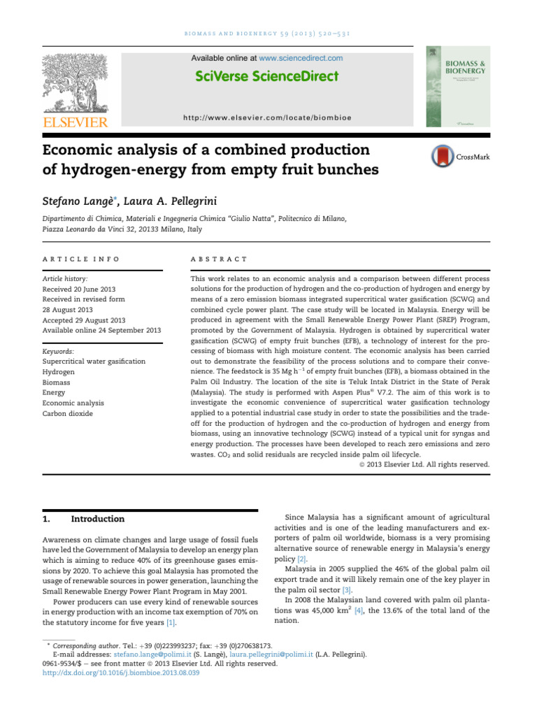 Economic Analysis of Hydrogen Production | PDF | Gasification | Net ...