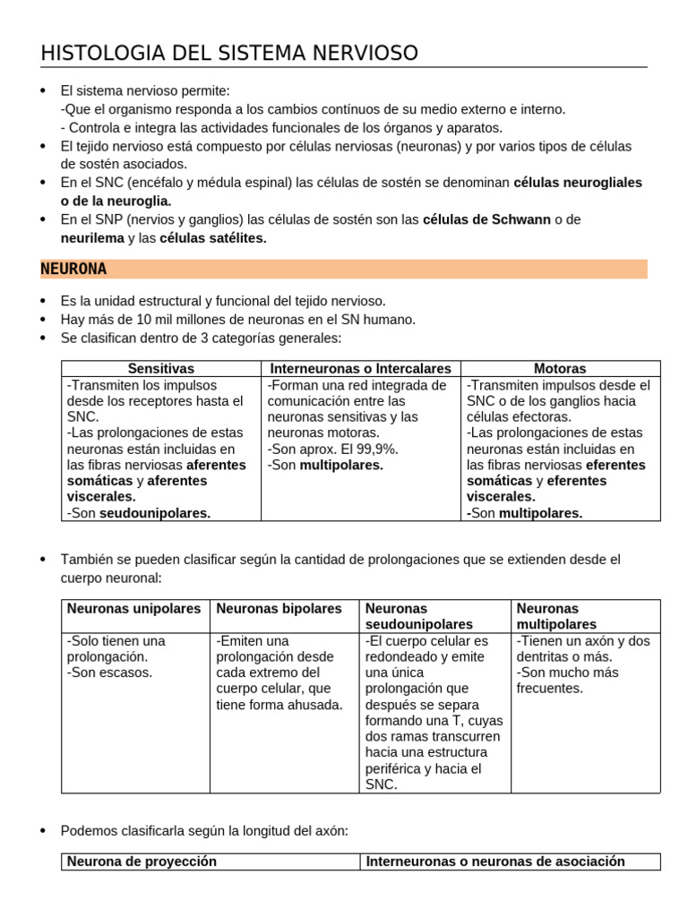 Histologia Del Sistema Nervioso | PDF | Sinapsis | Neurona