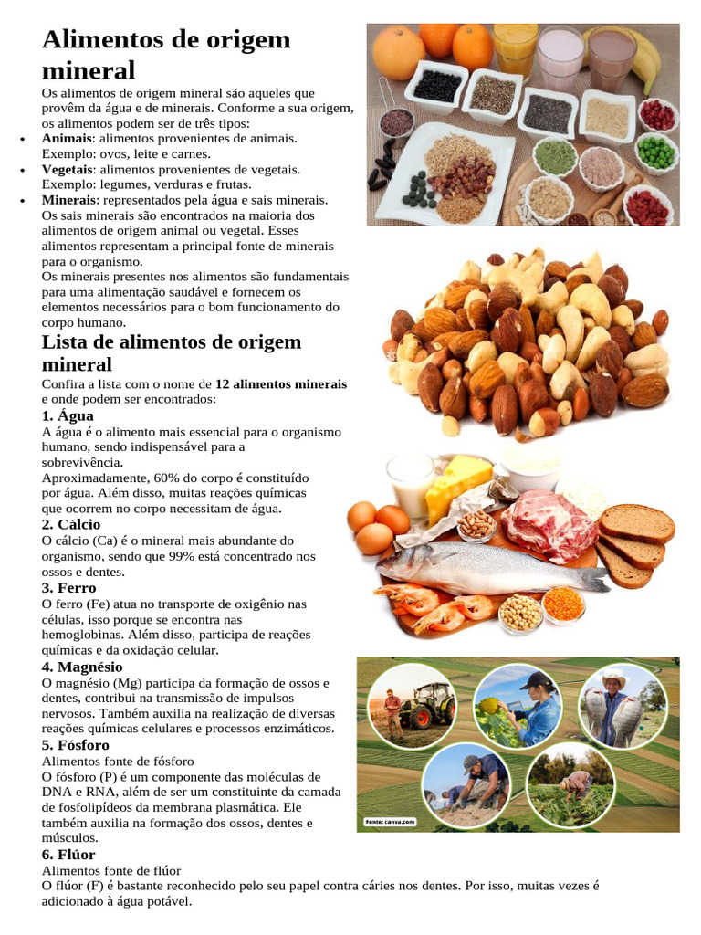 Alimentos de Origem Mineral | PDF | Alimentos | Minerais