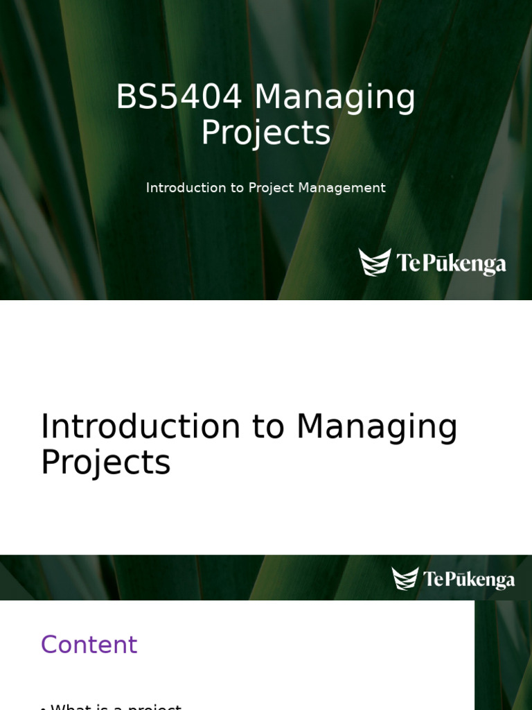 Introduction to Project Management 2024 | PDF | Project Management ...