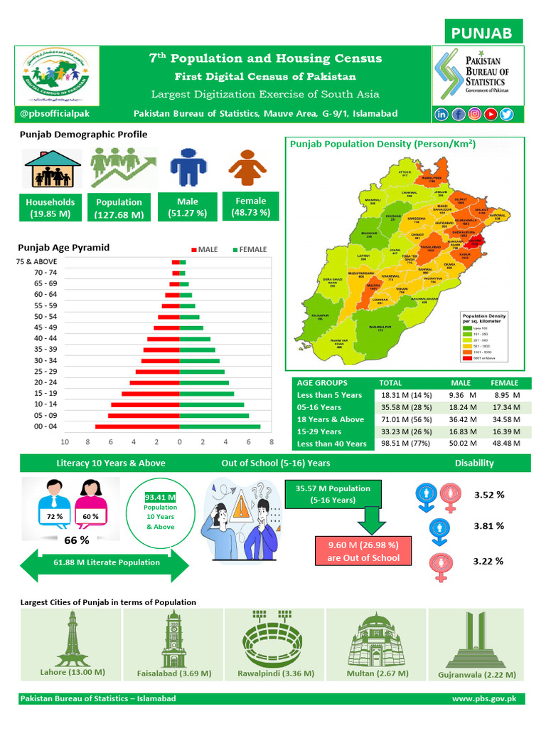 Punjab Population Demographics 2023 | PDF | Pakistan | Fuels