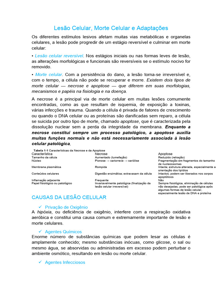 Lesão e Morte Celular: Tipos e Mecanismos | PDF | Apoptose | Célula ...