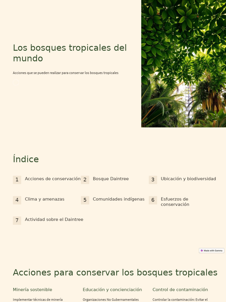 Los Bosques Tropicales Del Mundo | PDF | Deforestación | Los bosques