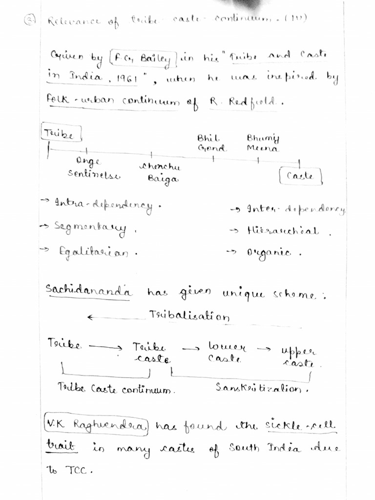Caste and Mobility in Indian Society | PDF